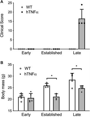 Orphan Nuclear Receptor NR4A2 Is Constitutively Expressed in Cartilage and Upregulated in Inflamed Synovium From hTNF-Alpha Transgenic Mice